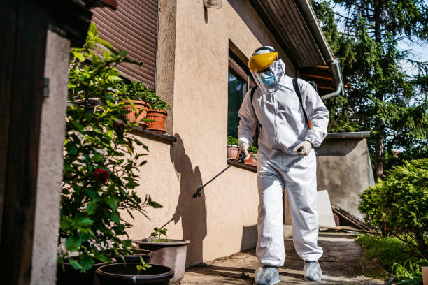 Best Affordable Pest Control Services  in Cotter, AR