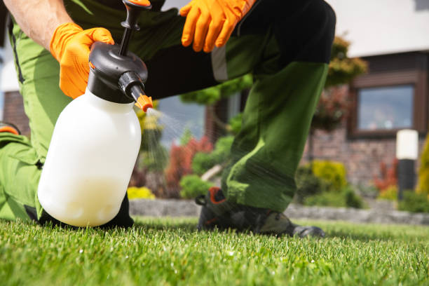 Best Insect Control  in Cotter, AR