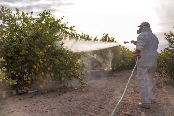 Best Residential Pest Control  in Cotter, AR