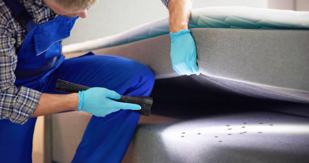 Best Termite Control Services  in Cotter, AR