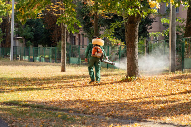 Best Best Pest Control Companies  in Cotter, AR