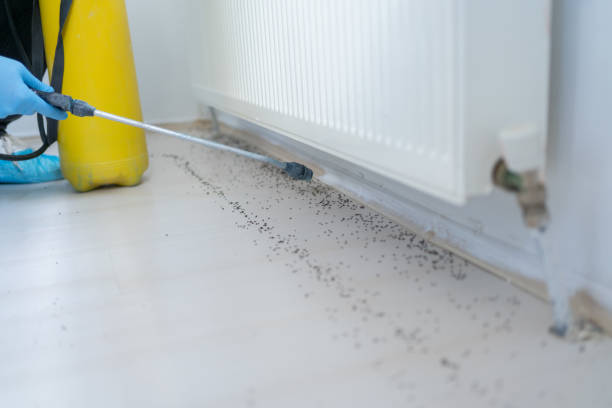 Best Pest Removal Services  in Cotter, AR